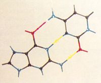 Kit #13b, G-C base pair