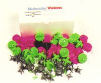 KIT #5 - Solid-State Chemistry Kit